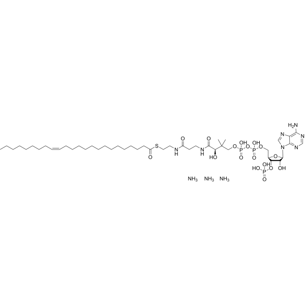 24:1 Coenzyme A triammonium 800376-90-3
